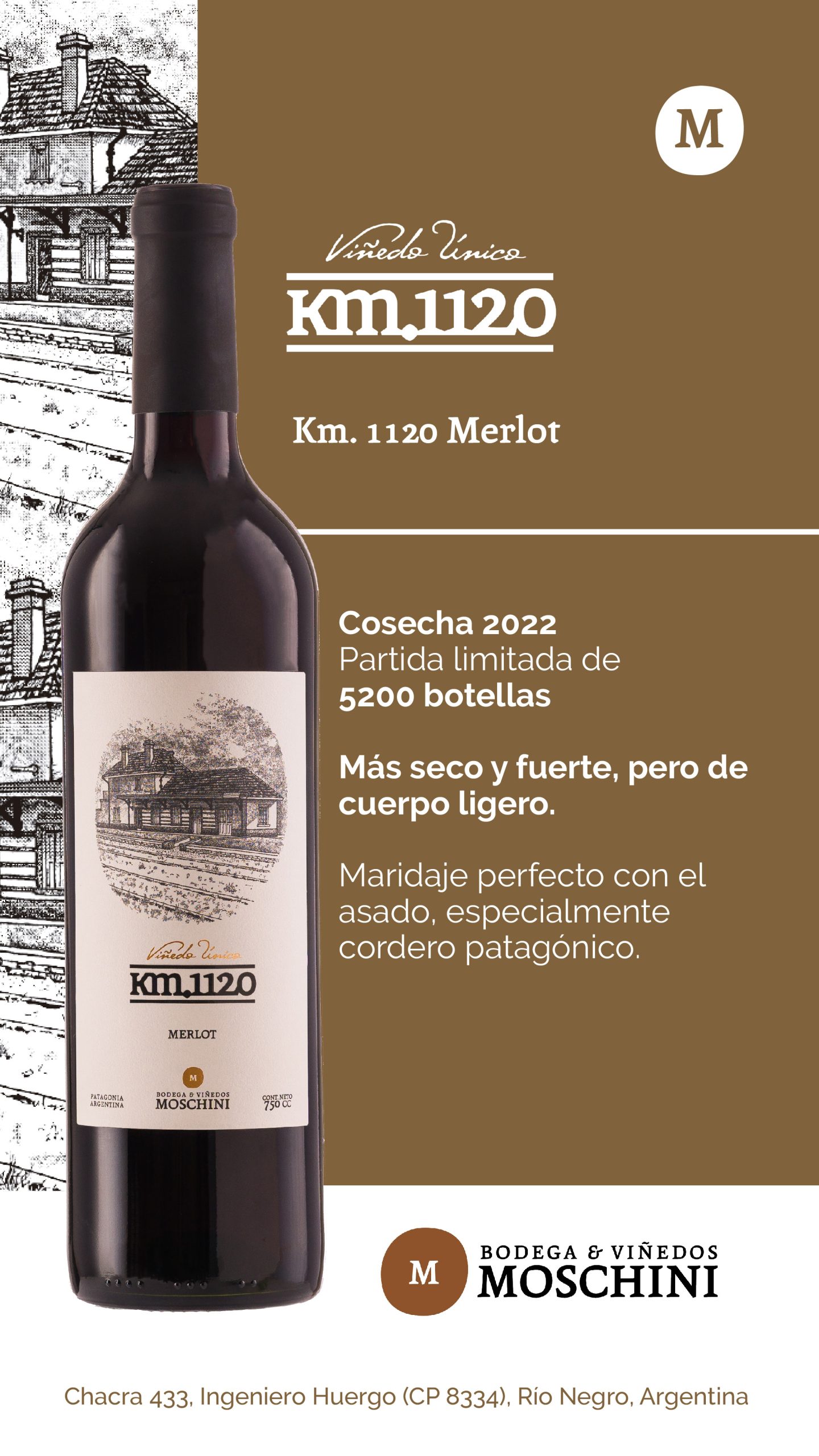 Moschini Merlot 2022 - Km 1120 - Image 3